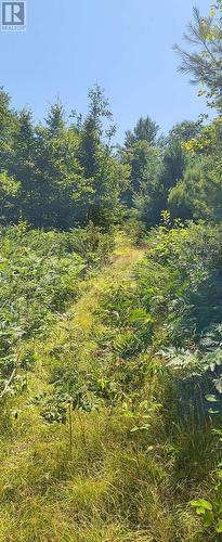 0000 Highway 7, Addington Highlands (Addington Highlands), ON 