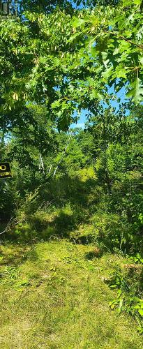 0000 Highway 7, Addington Highlands (Addington Highlands), ON 