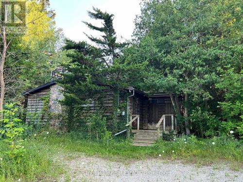 Cottage being sold \"As Is, Where Is\" - 208658 Highway 26, Blue Mountains, ON - Outdoor