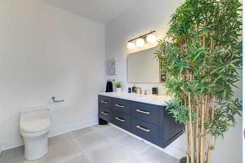 Salle d'eau - 1211 Rue Des Souchets, Sainte-Adèle, QC - Indoor Photo Showing Bathroom