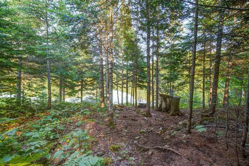 Bord de l'eau - 1211 Rue Des Souchets, Sainte-Adèle, QC - Outdoor