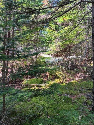 85-173 Harbour Heights Dr, Welshpool, NB 