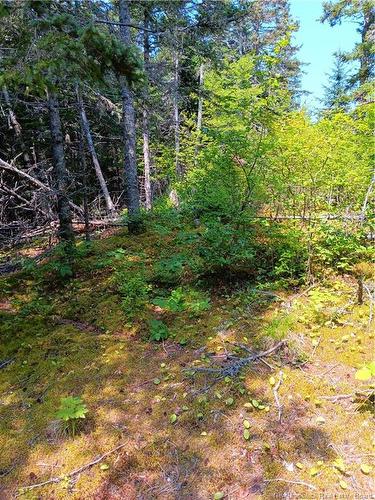 85-173 Harbour Heights Dr, Welshpool, NB 