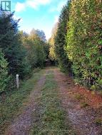 PT LT88 HIGHWAY 10  West Grey, ON N0C 1H0