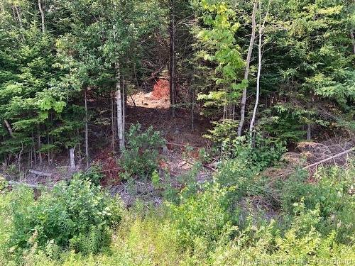 0 Frye Rd, Chamcook, NB 