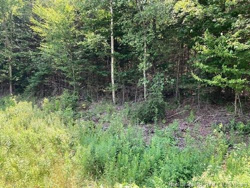 0 Frye Rd, Chamcook, NB 