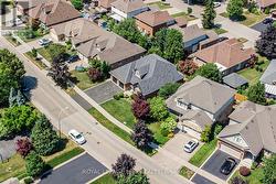 Beautiful tree lined street - 