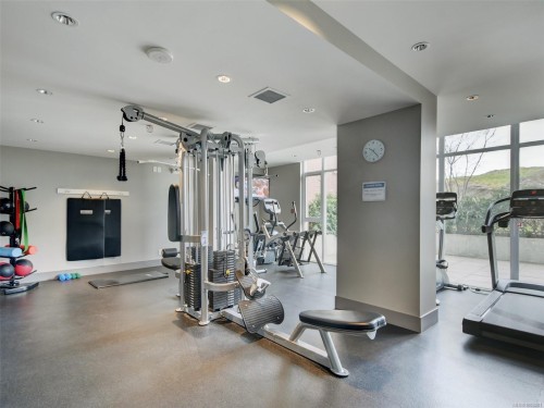 1705-83 Saghalie Rd, Victoria, BC - Indoor Photo Showing Gym Room