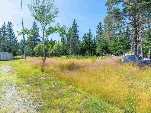 20 Howard Stevens Walk, Clam Harbour, NS 