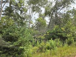 Lot Hazels Way  Gaspereaux, PE C0A 1R0