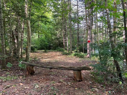 Autre - 101 Ch. Dainava, Mille-Isles, QC - Outdoor