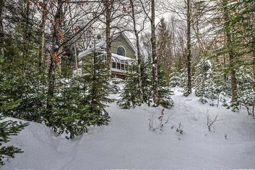 Face arrière - 101 Ch. Dainava, Mille-Isles, QC - Outdoor