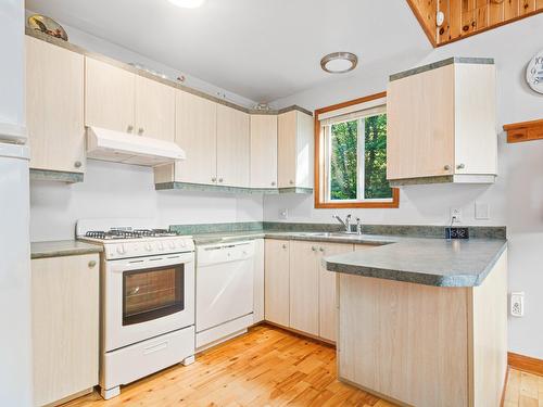 Cuisine - 101 Ch. Dainava, Mille-Isles, QC - Indoor Photo Showing Kitchen With Double Sink