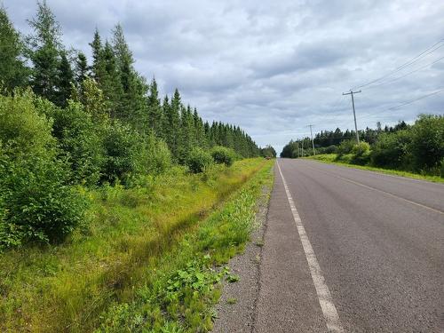 Land/Lot - 4E Avenue O., Paspébiac, QC 