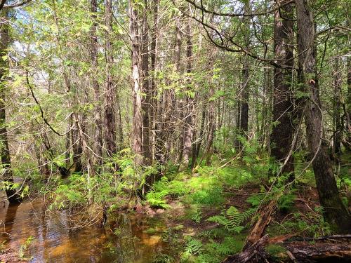 Land/Lot - 4E Avenue O., Paspébiac, QC 