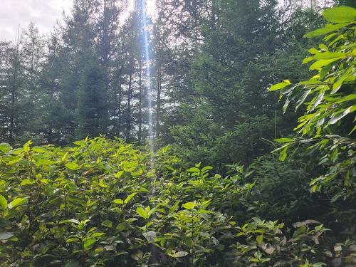 Land/Lot - 4E Avenue O., Paspébiac, QC 