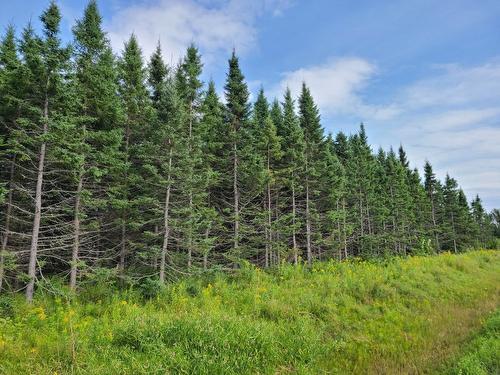 Land/Lot - 4E Avenue O., Paspébiac, QC 