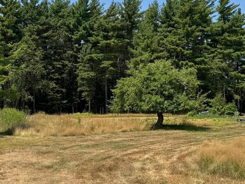 960 Highway 208, Simpsons Corner, NS 