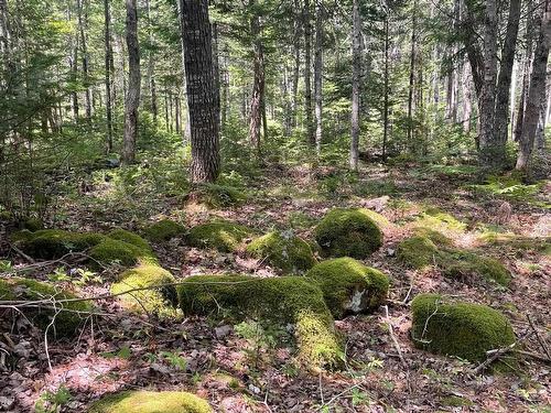 960 Highway 208, Simpsons Corner, NS 