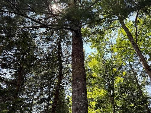 960 Highway 208, Simpsons Corner, NS 