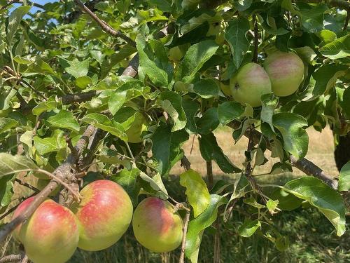 960 Highway 208, Simpsons Corner, NS 