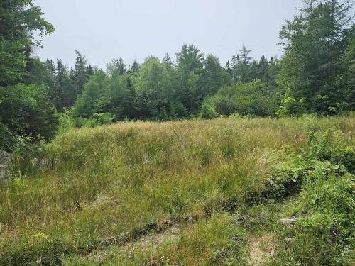 - Alder Road, Dutch Brook, NS 