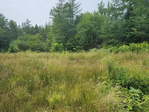 - Alder Road, Dutch Brook, NS 