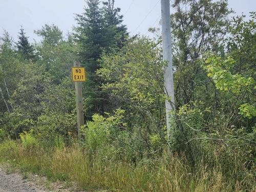 - Alder Road, Dutch Brook, NS 