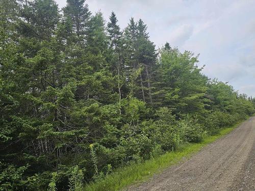 - Alder Road, Dutch Brook, NS 