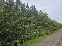 - Alder Road  Dutch Brook, NS B1M 1B2