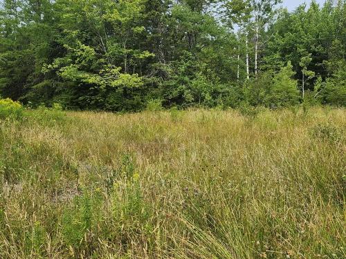 - Alder Road, Dutch Brook, NS 