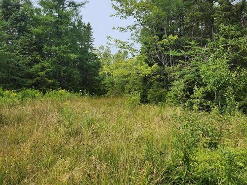 - Alder Road, Dutch Brook, NS 