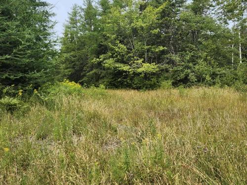 - Alder Road, Dutch Brook, NS 