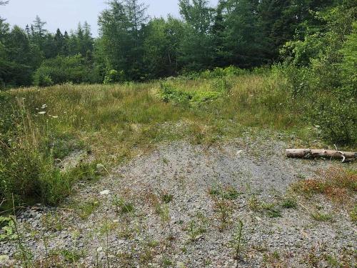 - Alder Road, Dutch Brook, NS 