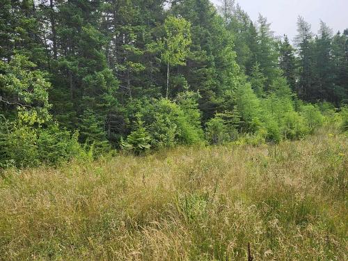 - Alder Road, Dutch Brook, NS 