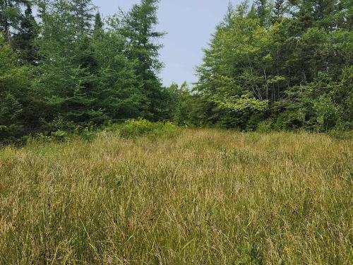 - Alder Road, Dutch Brook, NS 