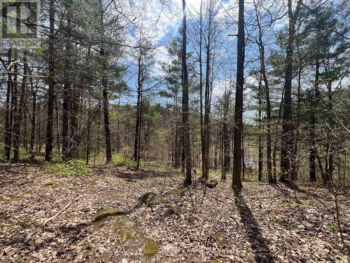 Part Lot 31 Rose Point Trail, Seguin, ON 