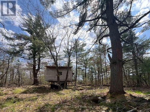 Part Lot 31 Rose Point Trail, Seguin, ON 