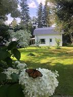 1336 Route 109  Red Rapids, NB E7H 4H4