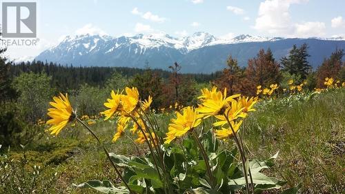6775 Tatlayoko Road, Williams Lake, BC - Outdoor With View