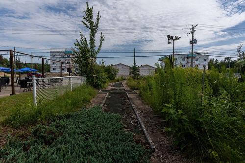 Terre/Terrain - 571 Rue Notre-Dame, Charette, QC - Outdoor With View