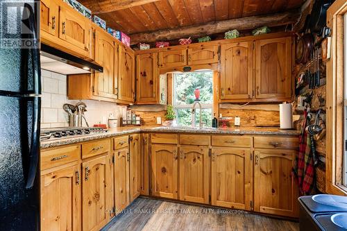 1169 Mosque Lake Road, Frontenac (Frontenac North), ON - Indoor Photo Showing Kitchen