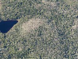 23339 Bennet Lake  Harrietsfield, NS B3V 1B7