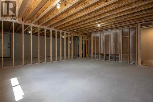 106 Sgt Donald Lucas Drive, Paradise, NL - Indoor Photo Showing Basement