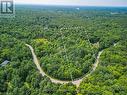 Aerial with Approximate lot line - 25 Long Lake Estates - Part 1 Road, Mcdougall, ON 