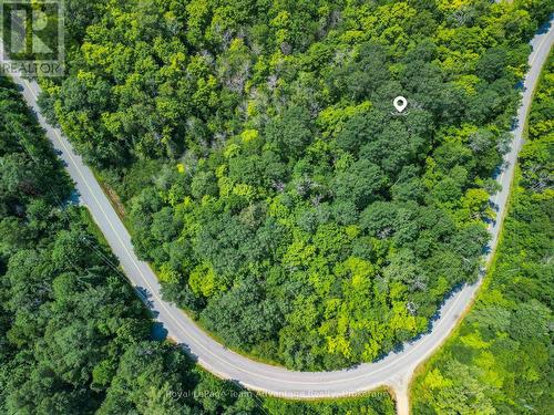 Aerial - 25 Long Lake Estates - Part 1 Road, Mcdougall, ON 