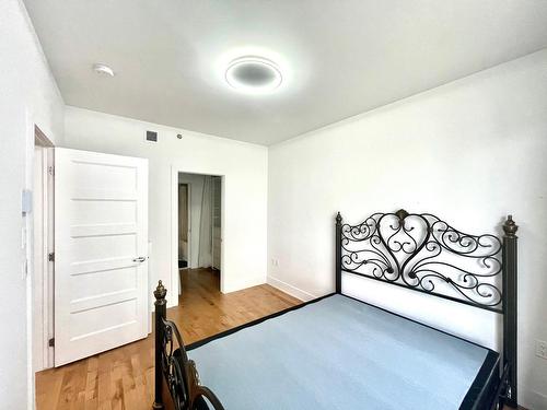 Chambre à coucher principale - 211-3950 Rue Sherbrooke E., Montréal (Mercier/Hochelaga-Maisonneuve), QC - Indoor Photo Showing Other Room