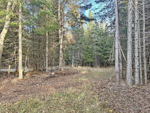 115 Golf Course Road, Nipigon, ON - Outdoor With View