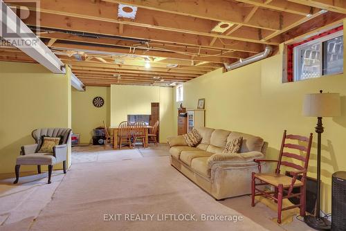 9 Brookside Street, Cavan Monaghan (Millbrook Village), ON - Indoor Photo Showing Basement