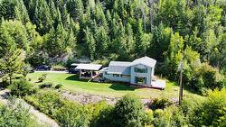 2538 95 Highway  Brisco, BC V0A 1B0